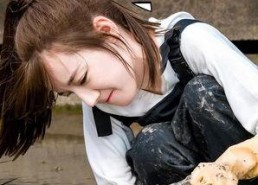 吃瓜娱乐圈小绵羊